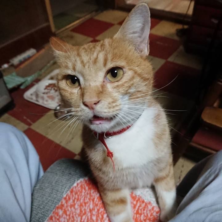 Abd43d01 f2f7 4aeb 98ec fb07ebe7bfc3 1570354268268