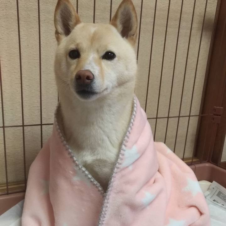 Abd442a0 c35e 40d0 be4a 84aa3cac050b 1547866330368