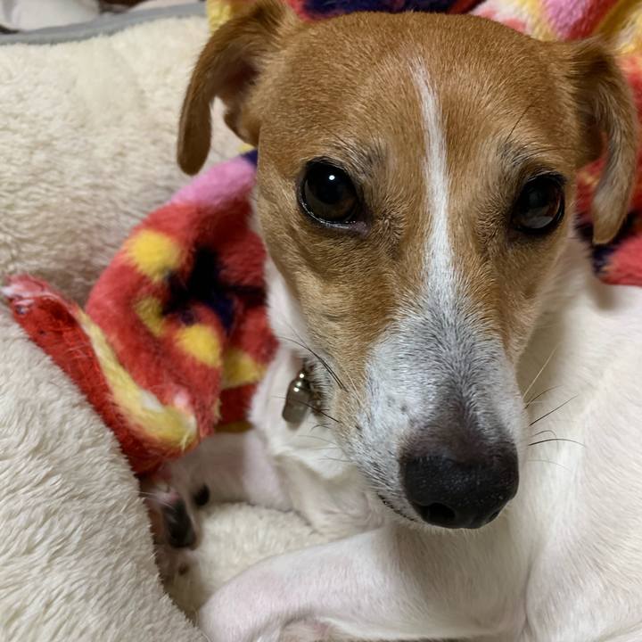 Abd454dd 025d 4da8 a47b 842365e03c20 1603969355229