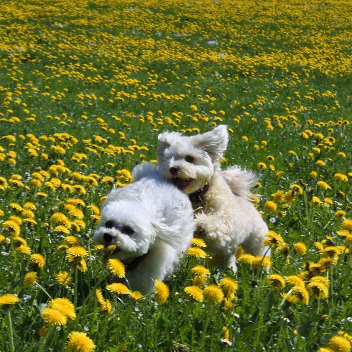 Abd46800 c253 4213 b387 eaebfa70c4ae 1762472893331