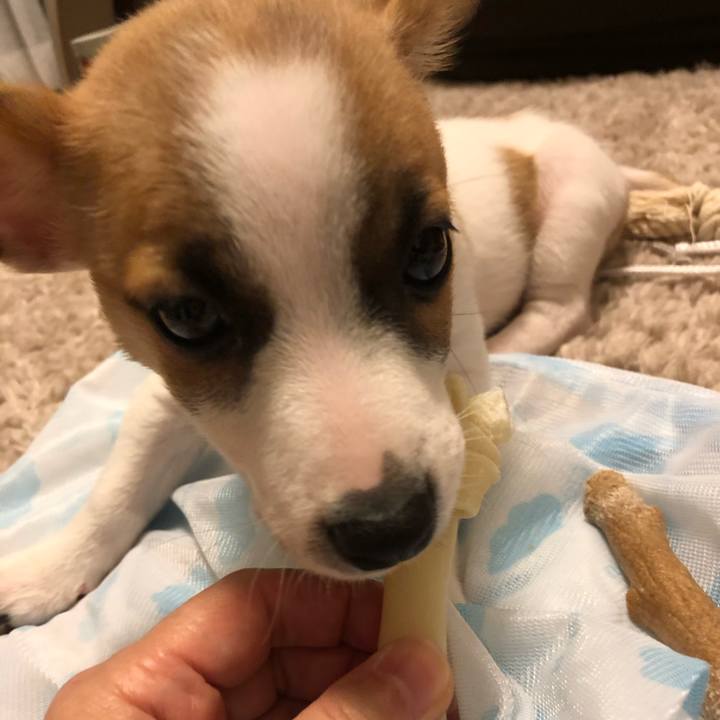 Abd48d1b ccb6 4996 9109 6c00dc111fa6 1545472486698