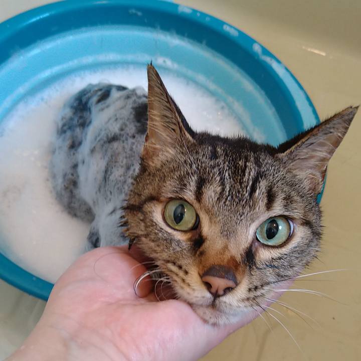 Abd48f94 e778 4559 a5c3 a515d2f060bb 1744438524202