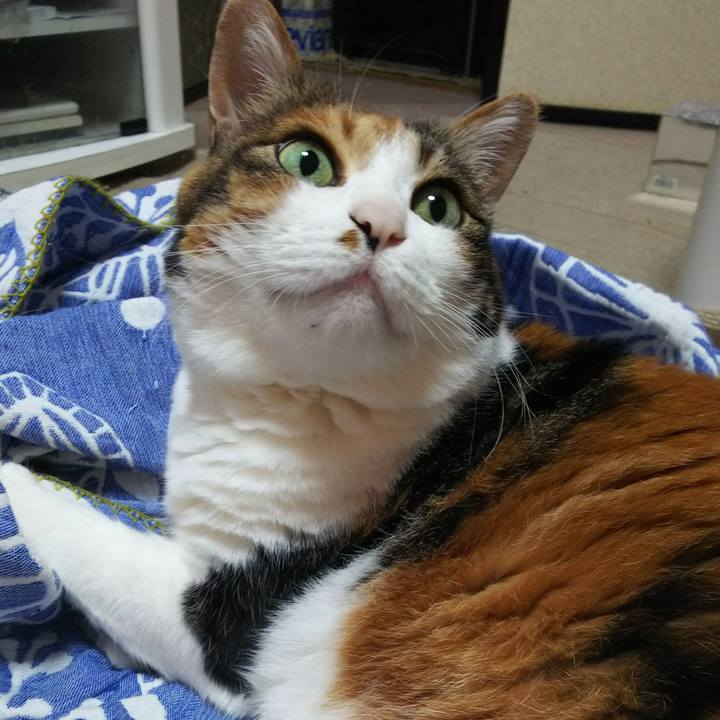 Abd4af34 4179 4876 b9ae 87856ca582ad 1529969306236