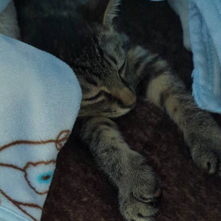 Abd4e870 7fc7 452b 9a38 c7db05810150 1704256435690