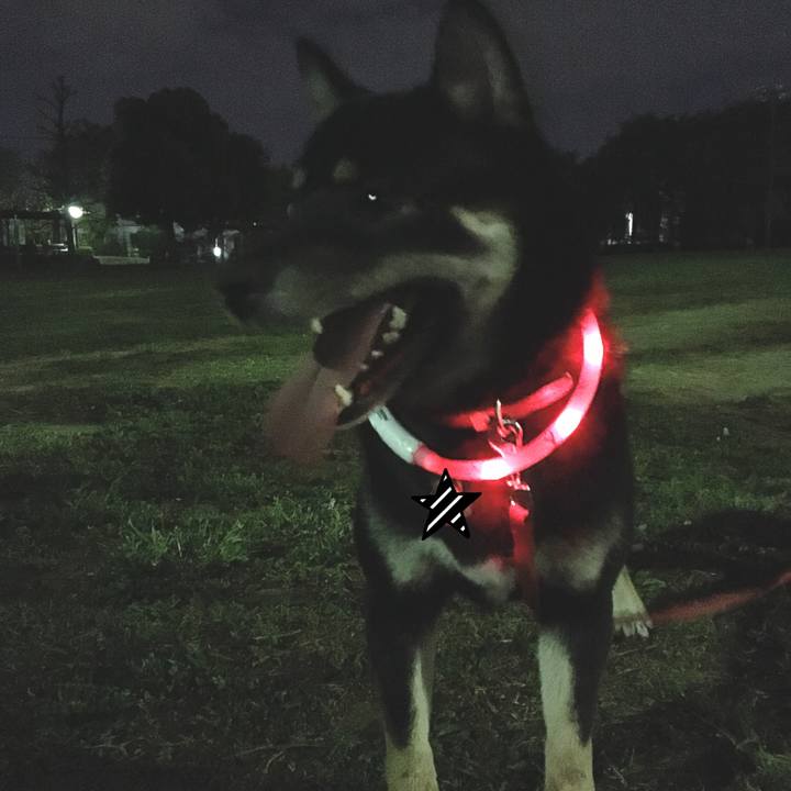 Abd50797 8bf0 407f b5d6 2547ed6caea8 1523711986262