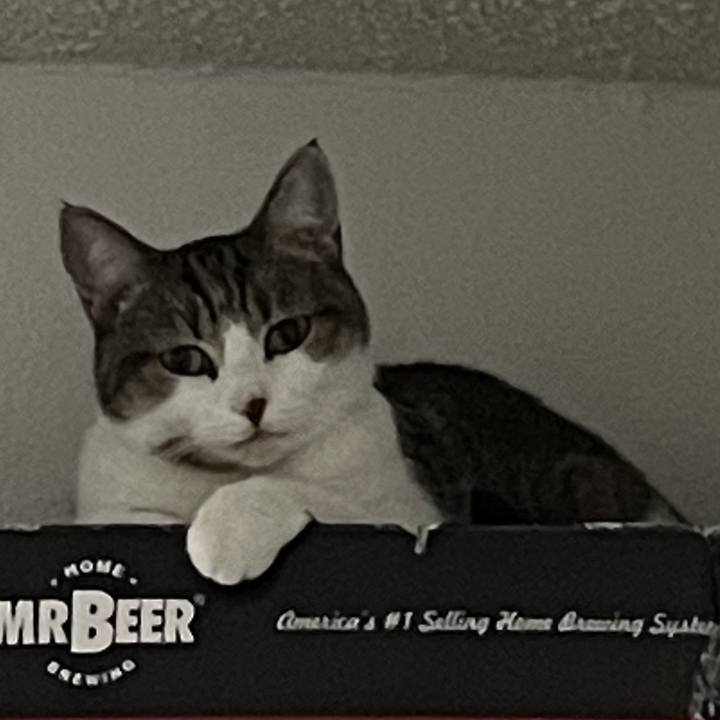 Abd56c94 80b4 4f0d 8ba5 71b3ee04d768 1744076681278