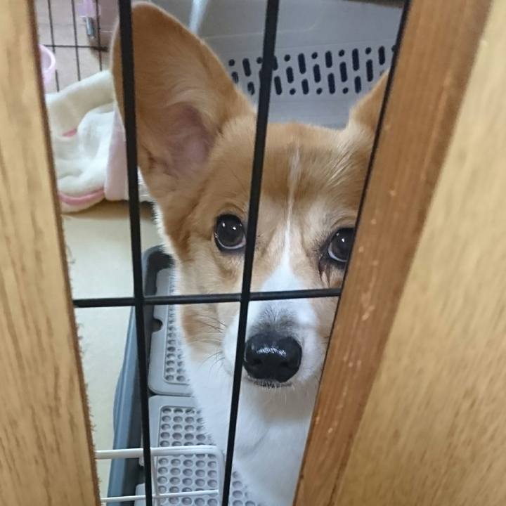 Abd57dba a807 4677 bee9 36394e3bbb0c 1543482923997