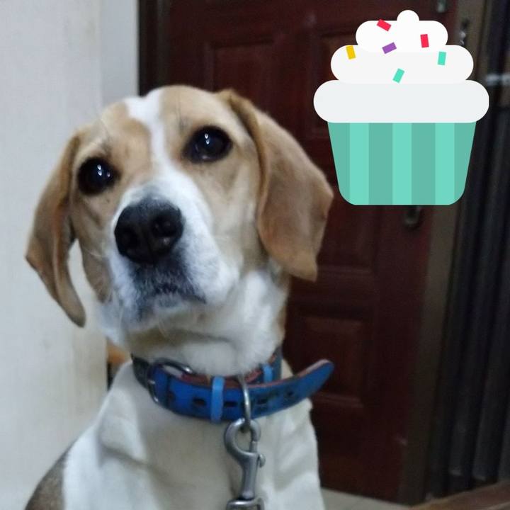 Abd5f09a 77c0 4281 8ddf 7beb72c287dc 1616239139322