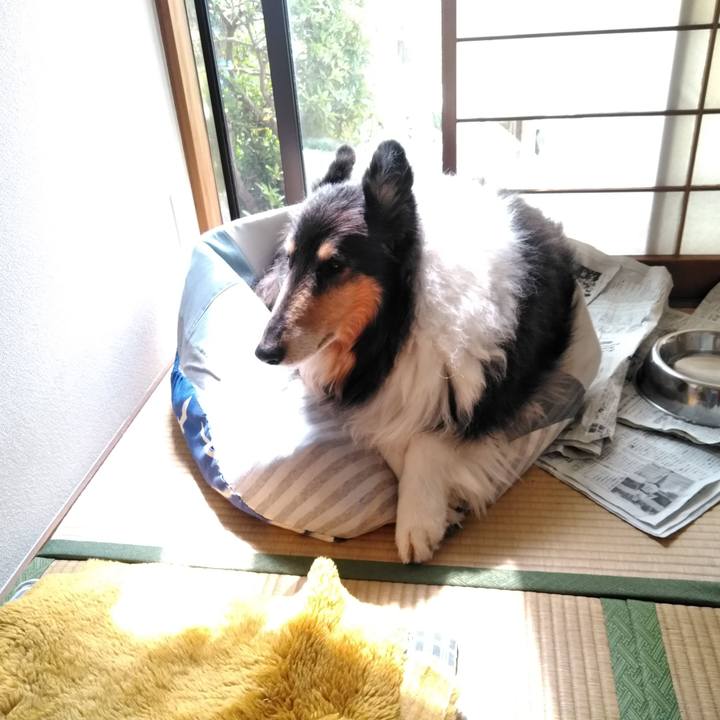 Abd64290 ebc8 4c98 b415 ce23cf02f913 1553834821115