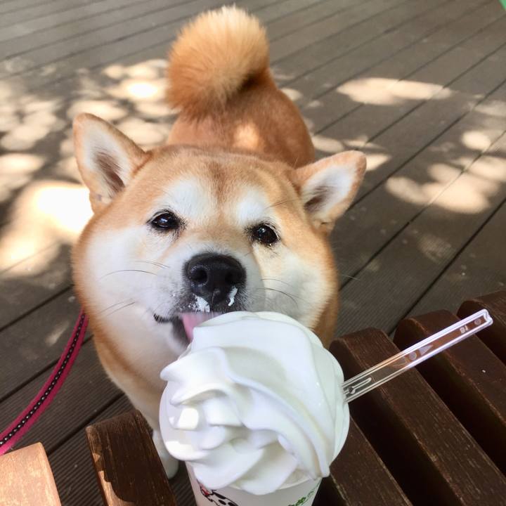 Abd657d3 2d22 40fc a153 372f4c5422a2 1597453129161