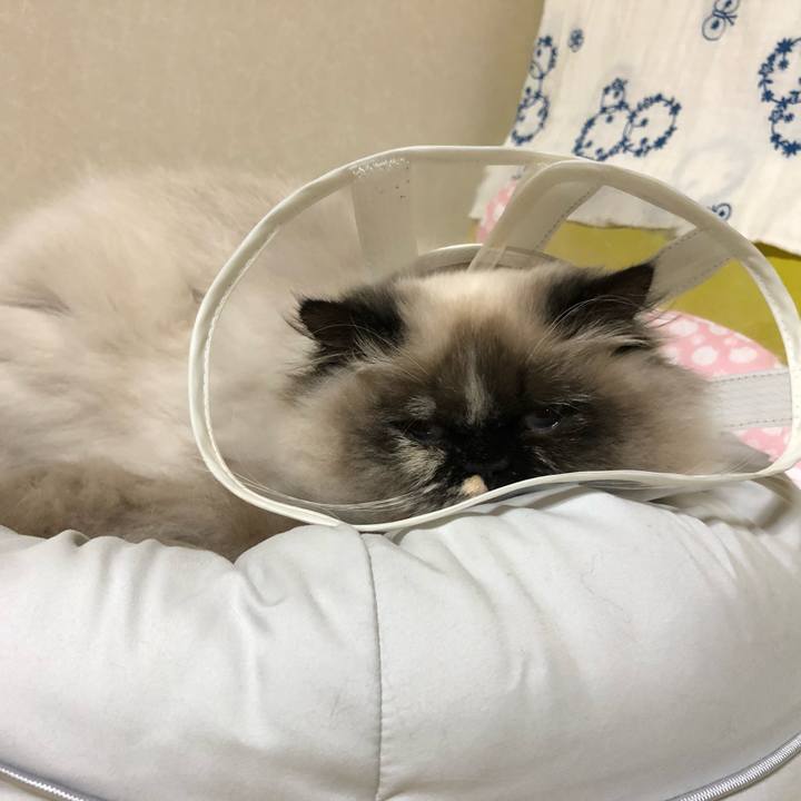 Abd68a67 e875 4238 9e4b 4696f639f523 1641038788621