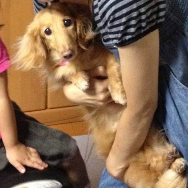 Abd68d52 3225 4a53 be69 3e3a896f7316 1593298802095