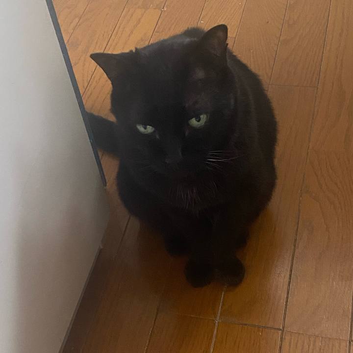 Abd69925 8058 4a55 ae5b 1ceebed80939 1745131151902