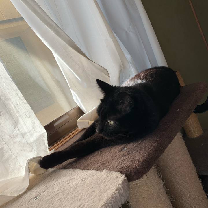 Abd6e744 975d 427e 9a38 e8e180096fd4 1579568787308