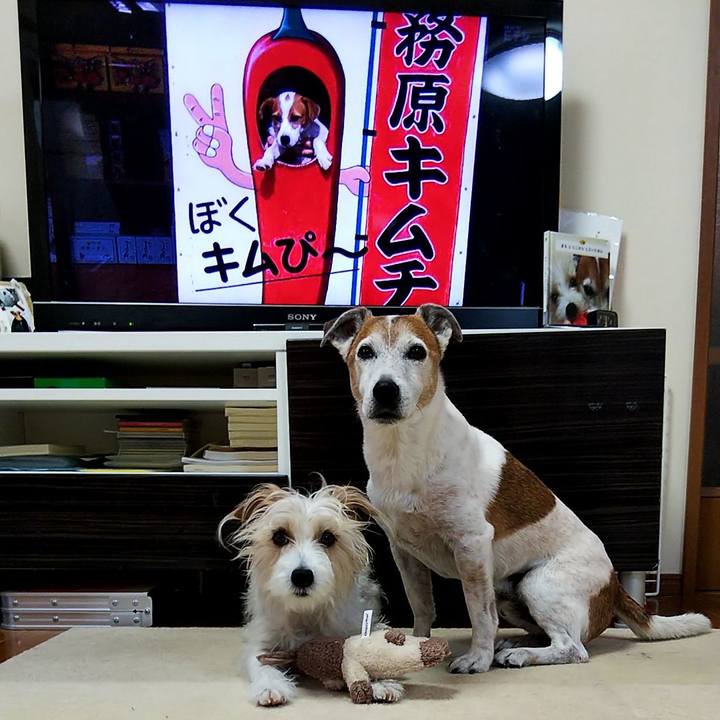 Abd708a9 b934 4241 9b16 4beaab7e0c5b 1560204252289