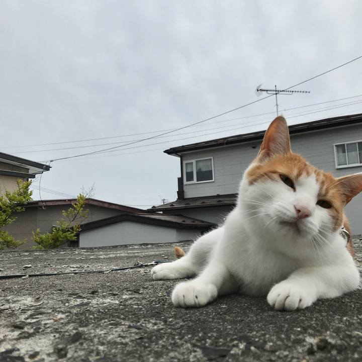 Abd74fb4 8b66 4480 a187 7b136fc9cf4f 1526181992361