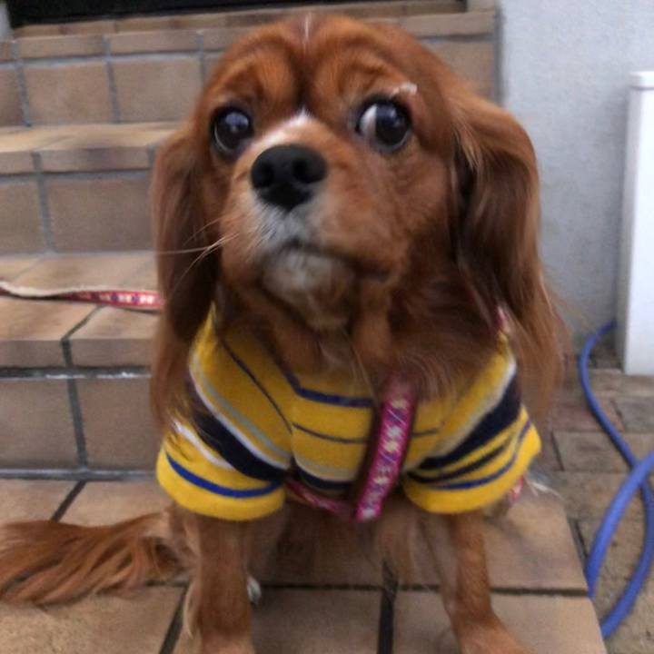 Abd79e7b 5345 4574 8fb4 cb99f139fd1a 1575808789487