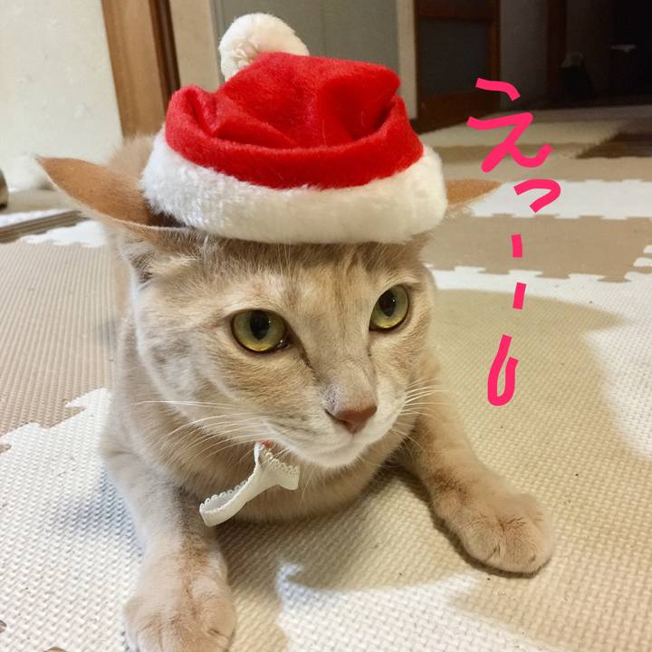 Abd79f26 8c9f 4650 9348 6462859848a5 1512457617629