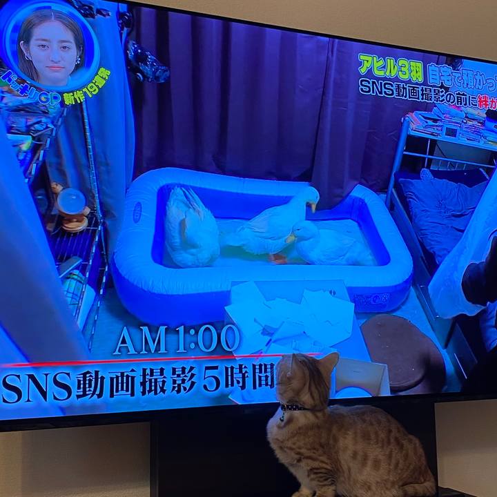 Abd7b66d d3bb 44e2 8467 e3190026f32d 1642851538743