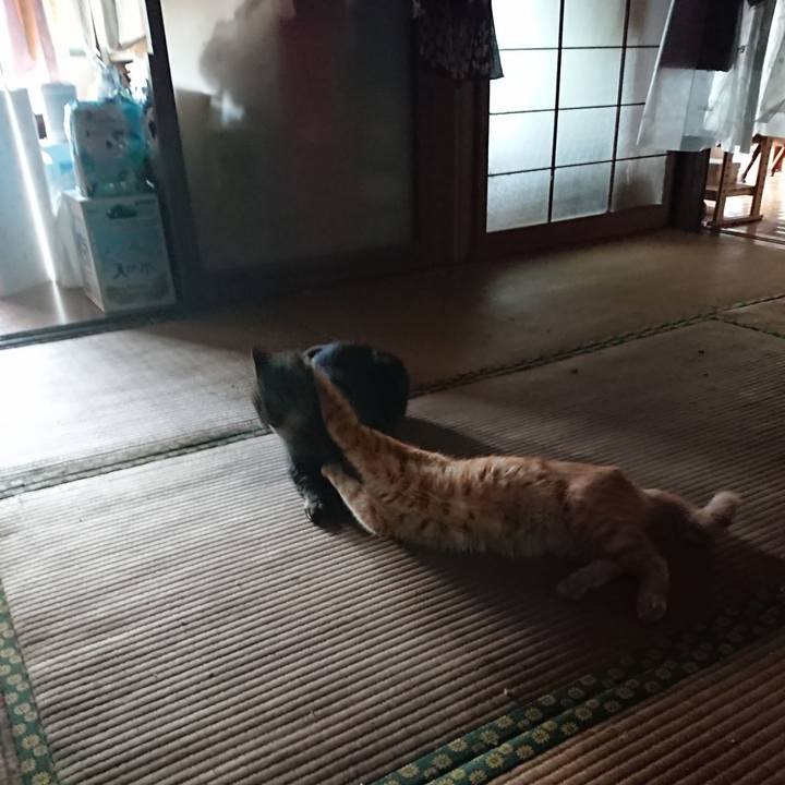 Abd7dbec fdf2 423c 8ab1 b83064ab23da 1661894163085