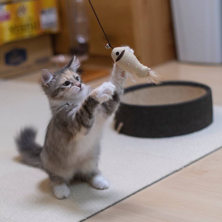 Abd81574 eb0f 4863 84fb f64bd30ac4e4 1537789547663