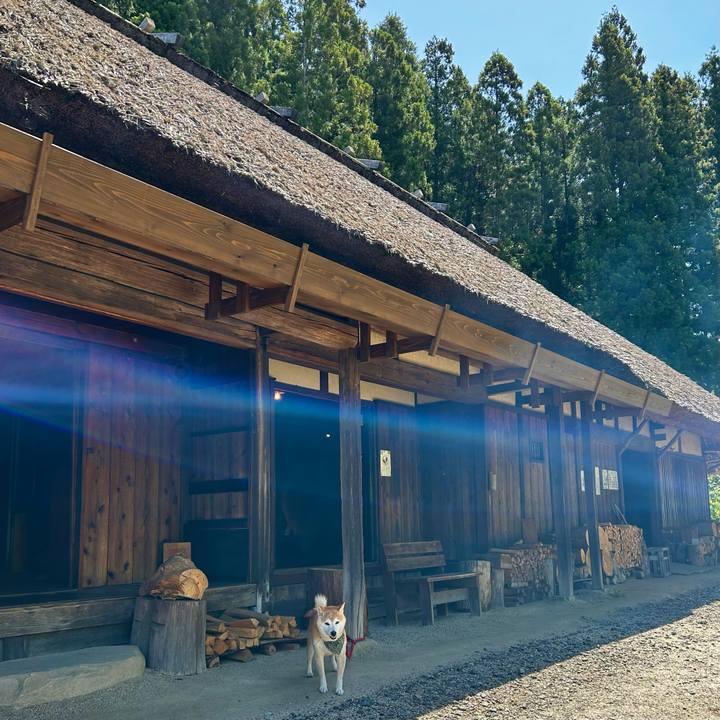 Abd81784 ca46 4228 908d e78489278520 1715329628050