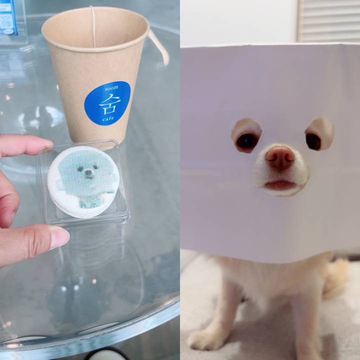 Abd83d98 f554 478d 9693 f113f30f5148 1715770139509