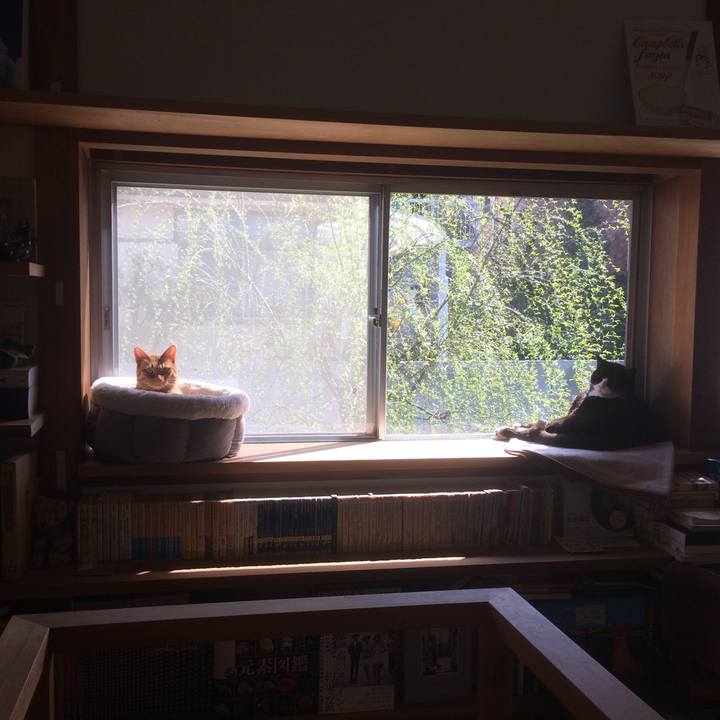 Abd86ea3 2b80 4804 bd08 0d954efde569 1584236121283