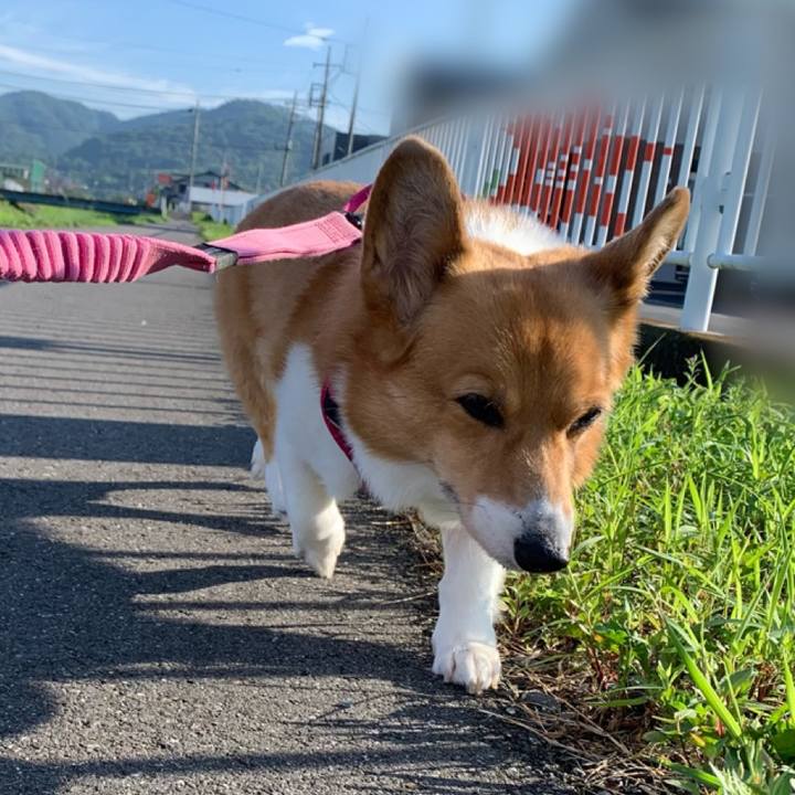 Abd87b57 eb33 4c55 ba09 51a4eec90bb7 1689459824833