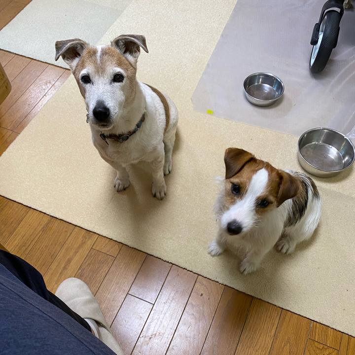 Abd8c5b3 d578 40f0 b786 eaf7dec1f7f1 1640299495425