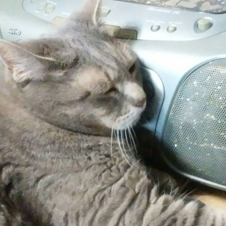 Abd8d794 28e5 4930 a805 9c19e98c2549 1528966739021