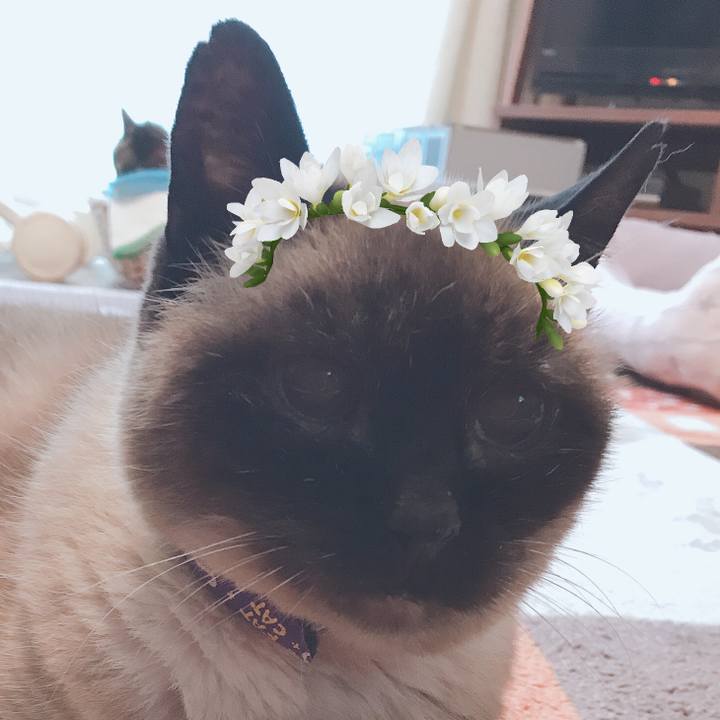 Abd8e7e4 c599 49e4 82b7 5d072758e7b7 1562799221612