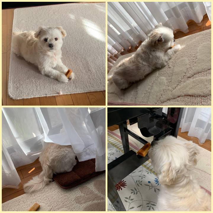 Abd913c0 2309 4da4 b62a a5bbc3b1d0d5 1582199358930