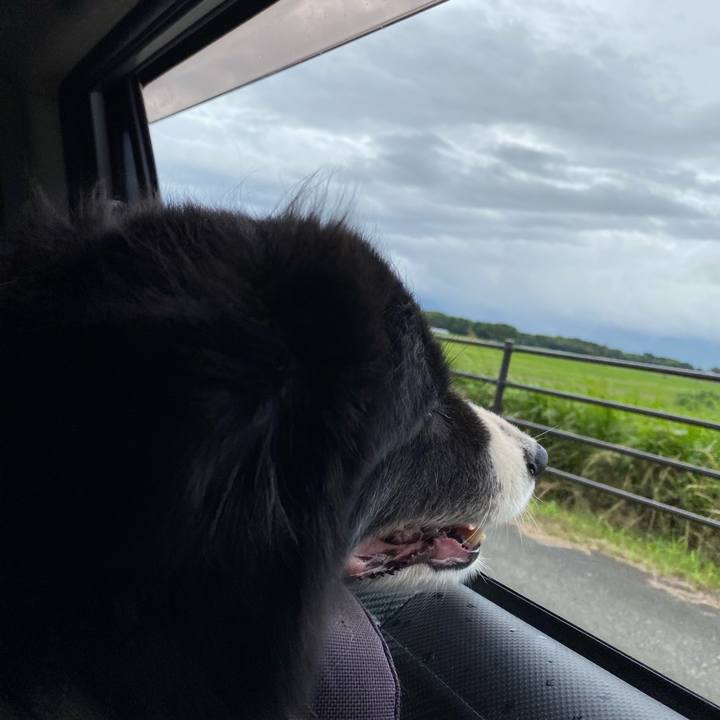 Abd93407 f249 44de bd2b a5673a084cae 1689113006286