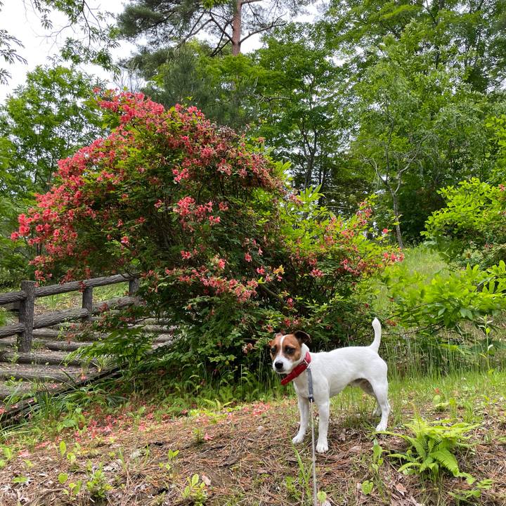 Abd98b7a 5baa 46ee 9bea 89884f8b77b9 1655185208807