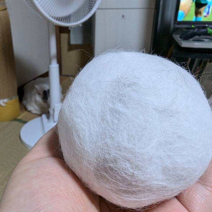 Abd99435 5e54 4443 b469 afc7596ec63e 1720768632934