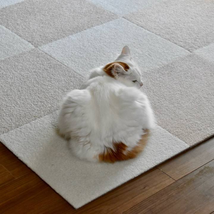 Abd9970f 86c6 449f 8a39 616fbe37d45c 1771127765811