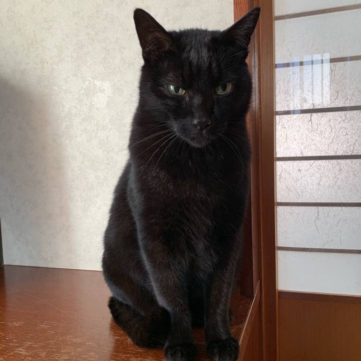 Abd9b28b 65b6 4bee b7fb d62a1d6ae05f 1546305601040