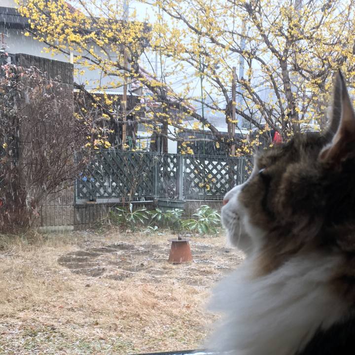 Abd9b598 224e 4e7a b8a4 7795ef93b7e9 1516592632664