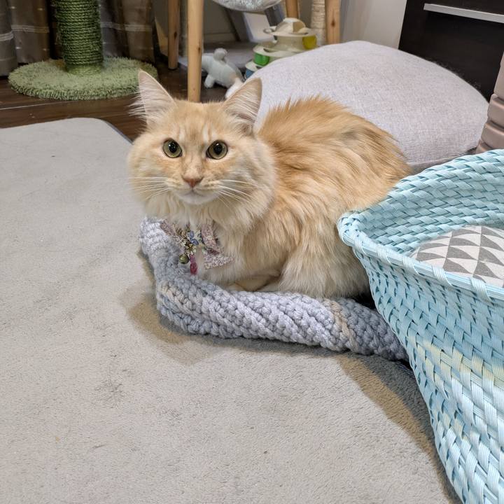 Abd9c06c d540 4f21 b29b a0ea31379bd1 1767275211298