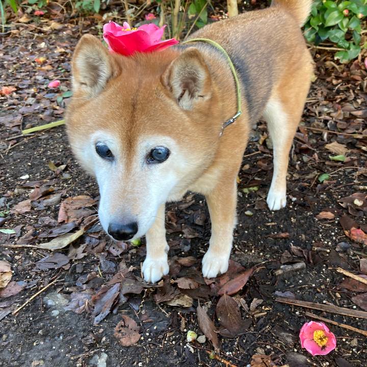 Abd9c811 e4f0 4ac1 bff1 3c9e58802228 1708733133729