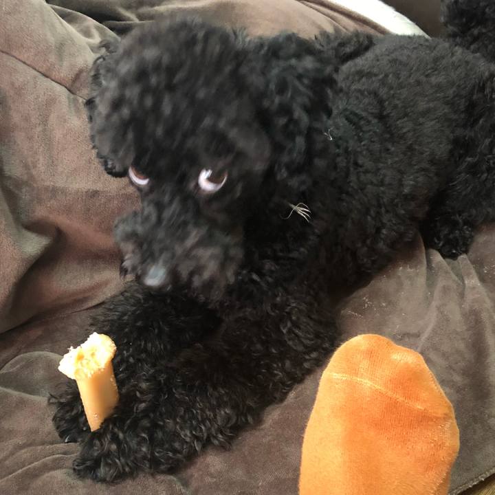 Abd9da8b e9e4 49c7 98e2 657f52d17826 1552343650358