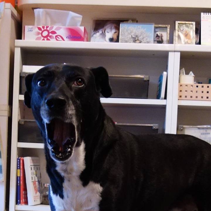 Abd9e8be e37a 45c8 9263 7a28ee572255 1713490304354