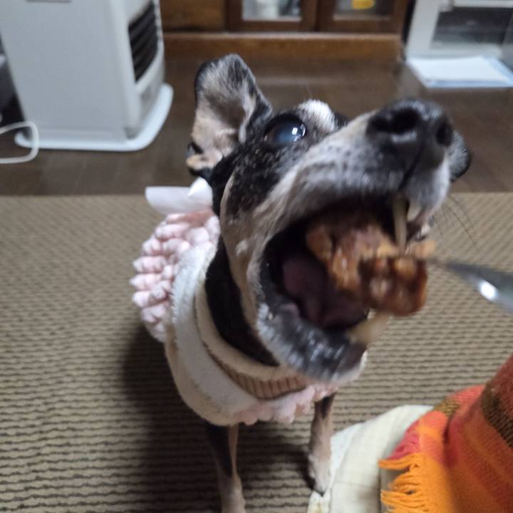 Abda1a23 edab 4e64 be51 8b83d0ac8cf3 1766657984090