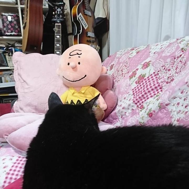 Abda2133 fbc0 4a87 a706 d847db8170d0 1596341294811