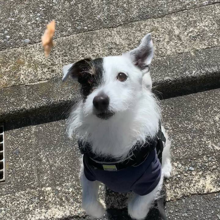 Abdad474 a51d 43f7 8fd3 601806963845 1744761087946