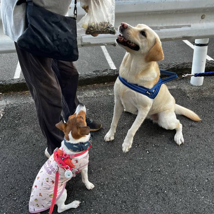 Abdadeae fbfb 458d 9c0d dbb1d879470e 1757680153834