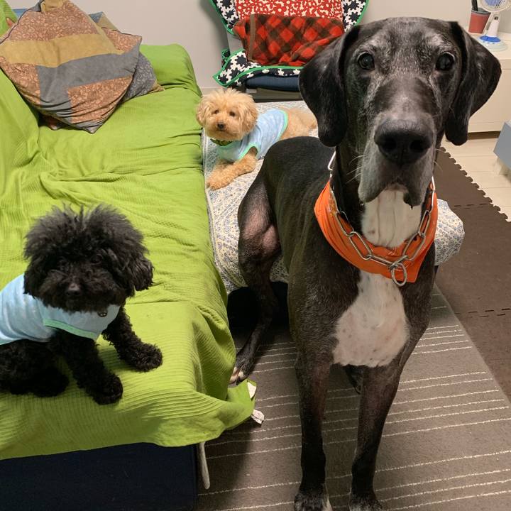 Abdaec56 618f 4c04 be00 15ea373da1a0 1566425621752