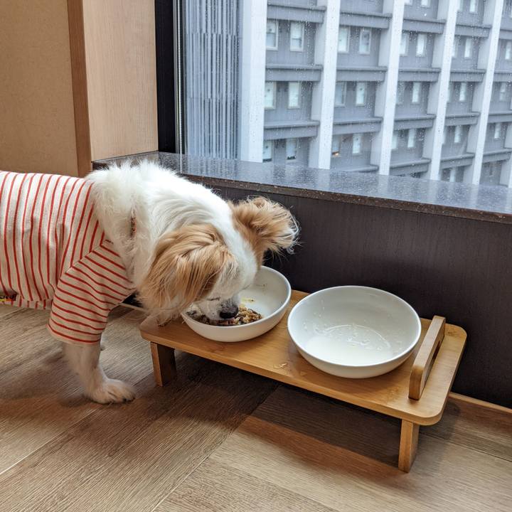 Abdb1974 808d 4e01 88c7 e3d1d5d29e79 1663635713361