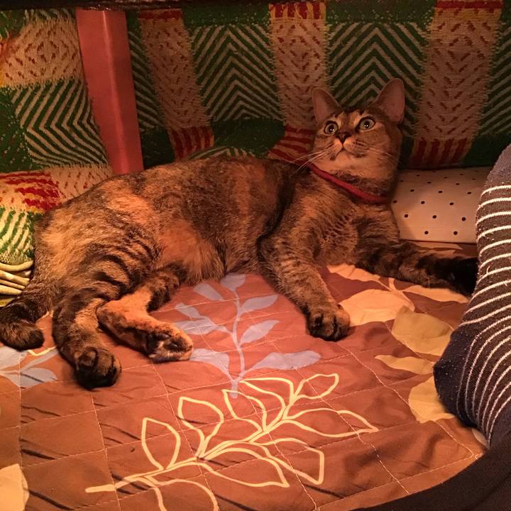 Abdb1e99 ce5d 44cb b17e 1bdd98cd4880 1602990099322